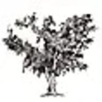 Century Oak Winery coupons